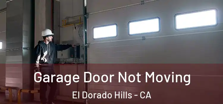  Garage Door Not Moving El Dorado Hills - CA