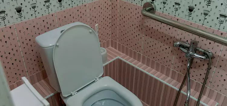 Meeting Diverse Needs With Accessible Restroom Solutions in El Dorado Hills, CA